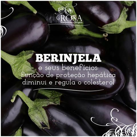 BERINJELA TEM FUNÇÃO DE PROTEÇÃO HEPÁTICA, DIGESTIVA E DIMINUI E REGULA O COLESTEROL